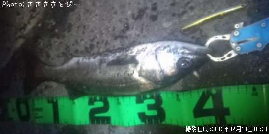 �����Х�