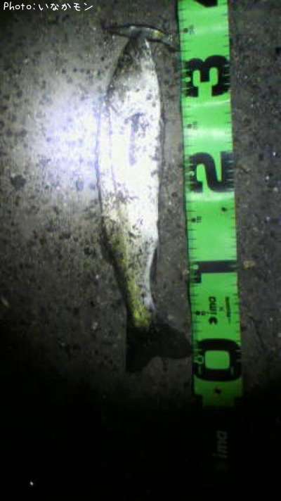 �����Х�