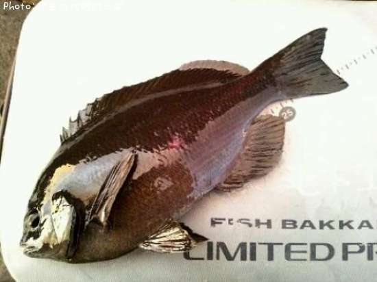 �����᥸��