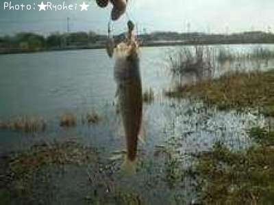 �֥�å��Х�