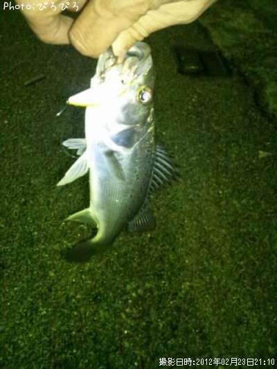 �����Х�