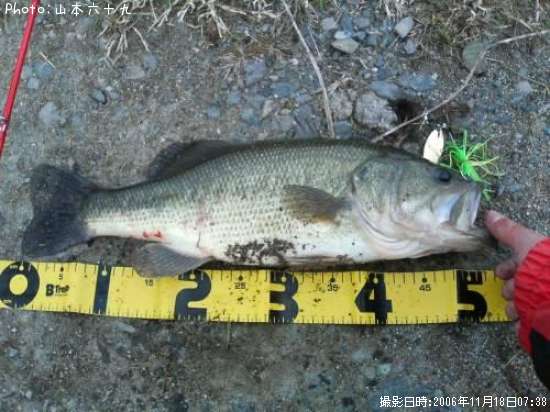 �֥�å��Х�