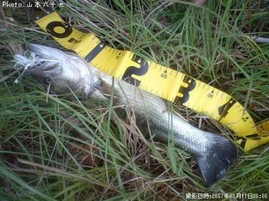 �֥�å��Х�