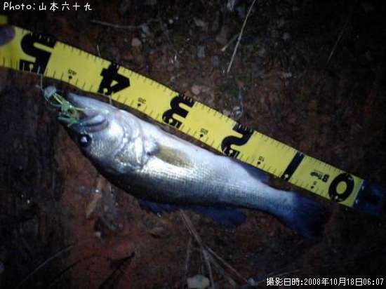 �֥�å��Х�