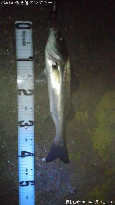 �����Х�