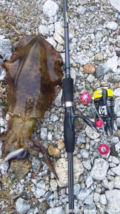 �����ꥤ��