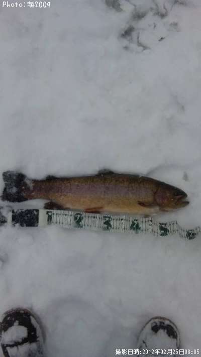 ���å��ȥ饦��