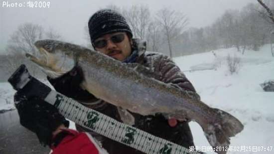 ���å��ȥ饦��