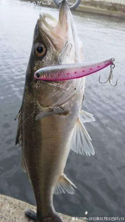 �����Х�