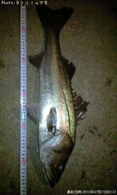 �����Х�