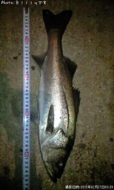 �����Х�