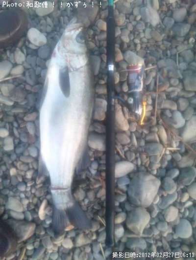 �ҥ饹����