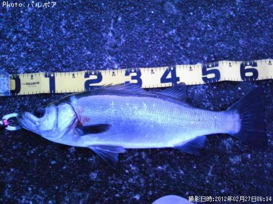 �ҥ饹����