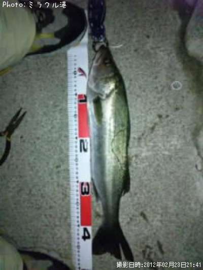 �����Х�