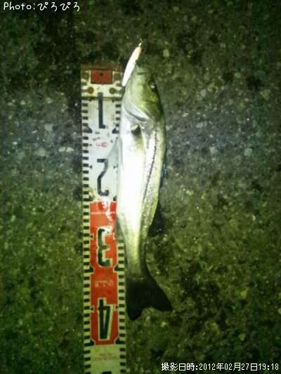 �����Х�