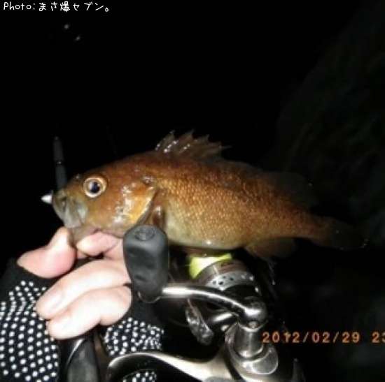 ������Х�