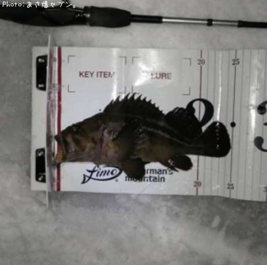 ���ޥ���