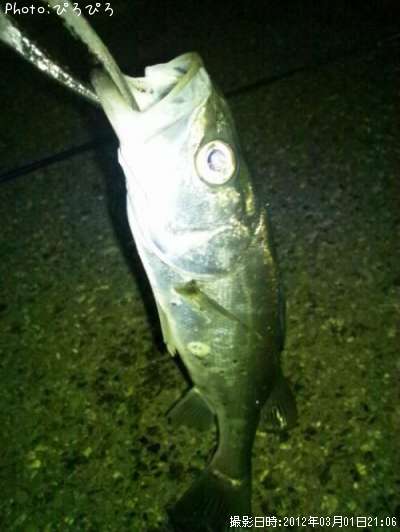 �����Х�