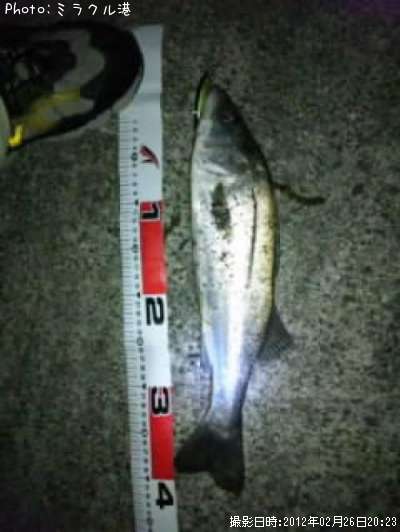 �����Х�