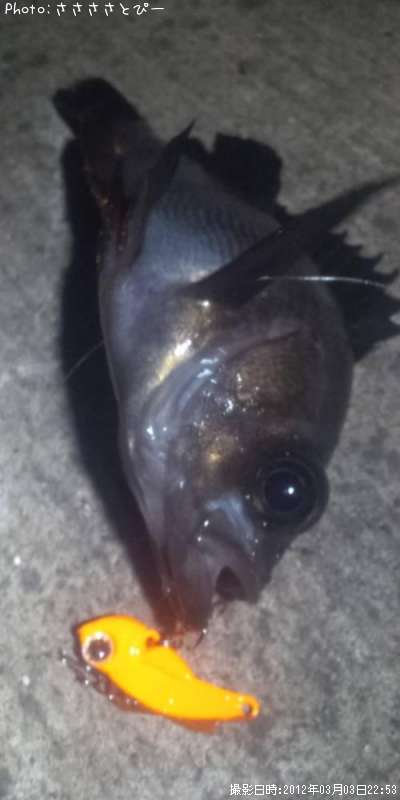 ���ꥢ��Х�