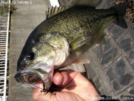 �֥�å��Х�