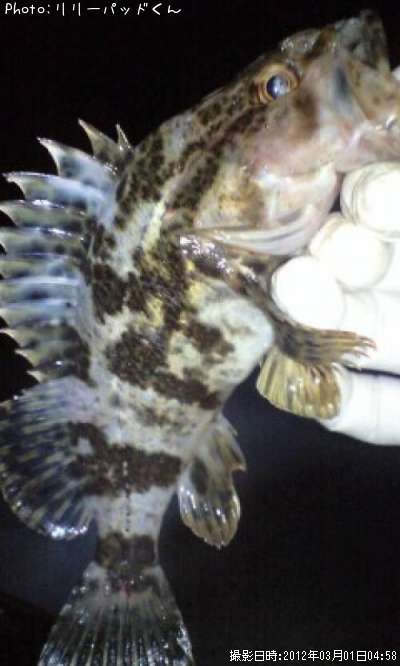 �����Υ�²��Ĺ������л�