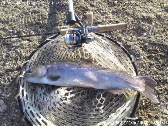 ���å��ȥ饦��