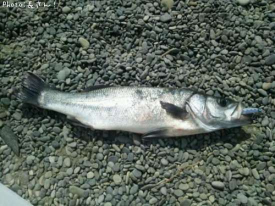 �ҥ饹����