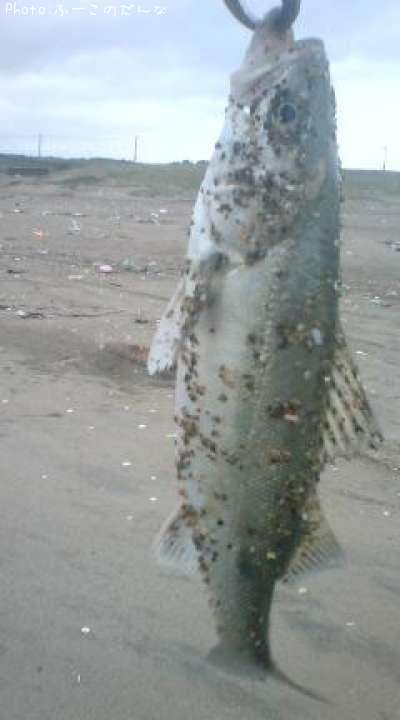 �����Х�