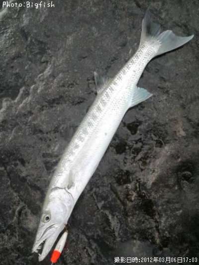 ���˥��ޥ�