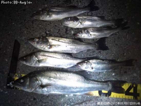 �����Х�