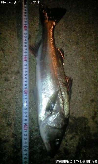 �����Х�