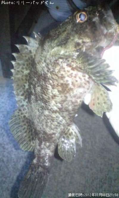 �����Υ�²��