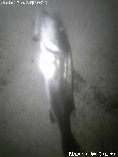 �����Х�