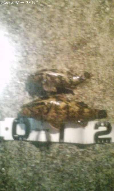 �����Υ���Х�