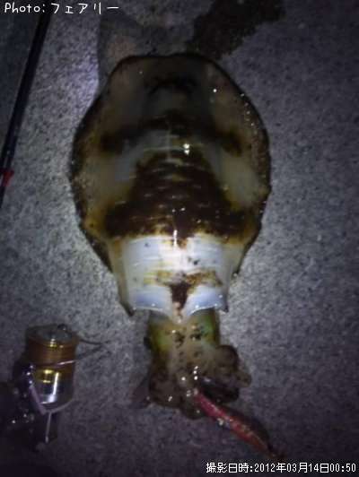 �����ꥤ��