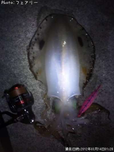 �����ꥤ��