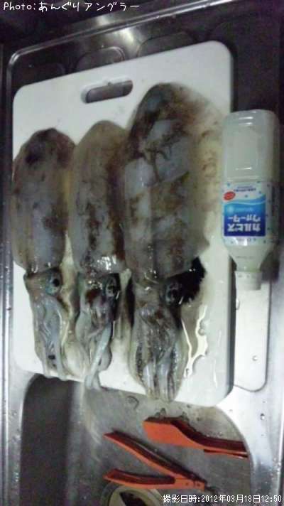 �����ꥤ��