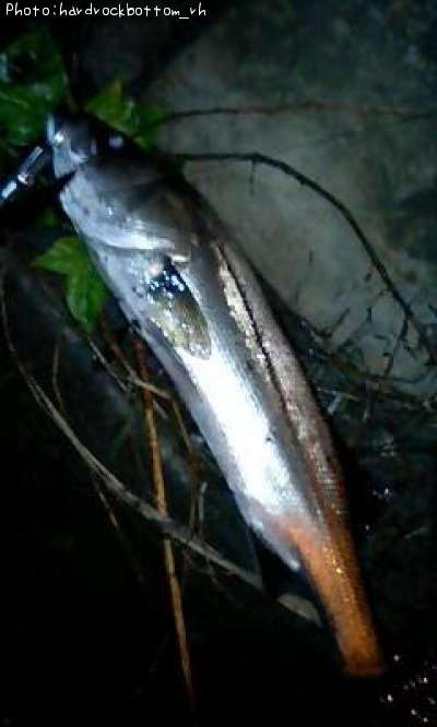 �����Х�