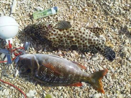 �ߡ��Х����ե��ե�