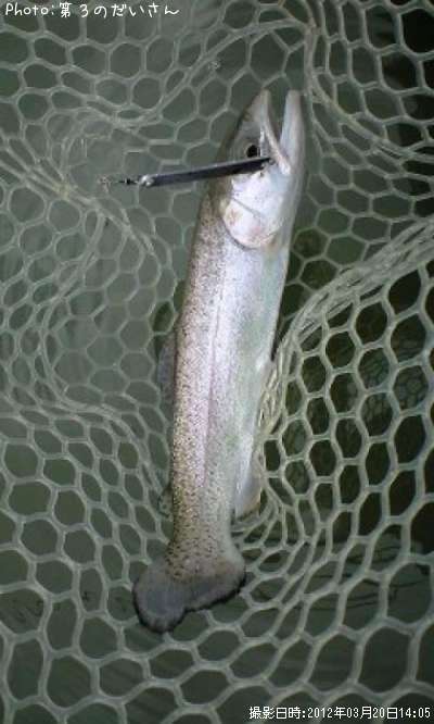 �쥤��ܡ��ȥ饦��