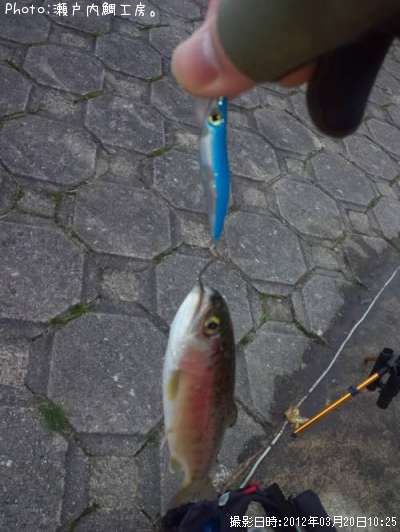 �쥤��ܡ��ȥ饦��