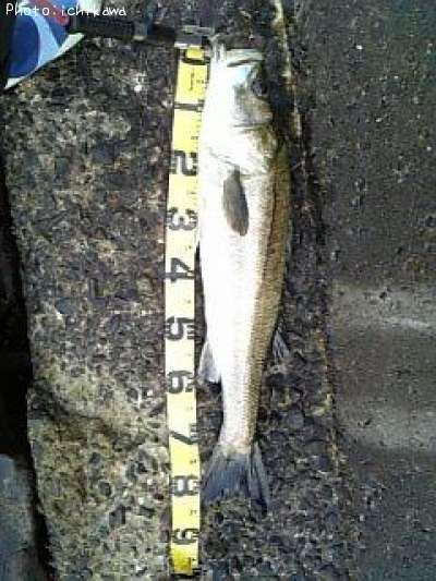 �����Х�