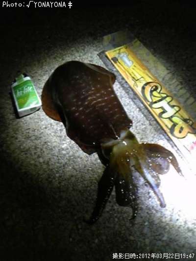 �����ꥤ��