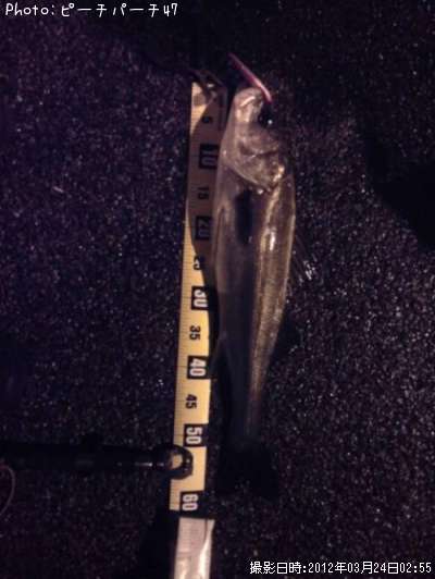 �����Х�