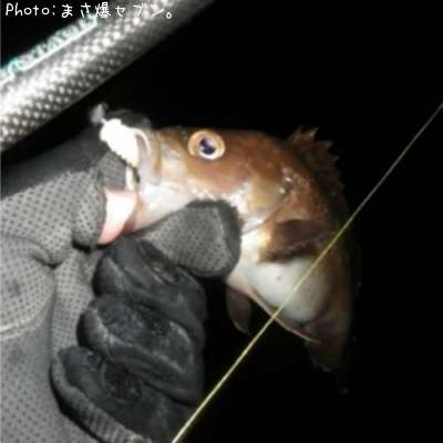 ������Х�