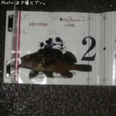 ������Х�