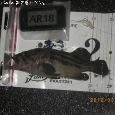 ���ޥ���