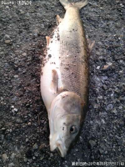 �ޥ륿������