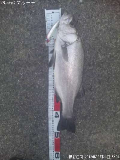 �ҥ饹����